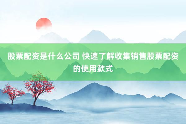 股票配资是什么公司 快速了解收集销售股票配资的使用款式